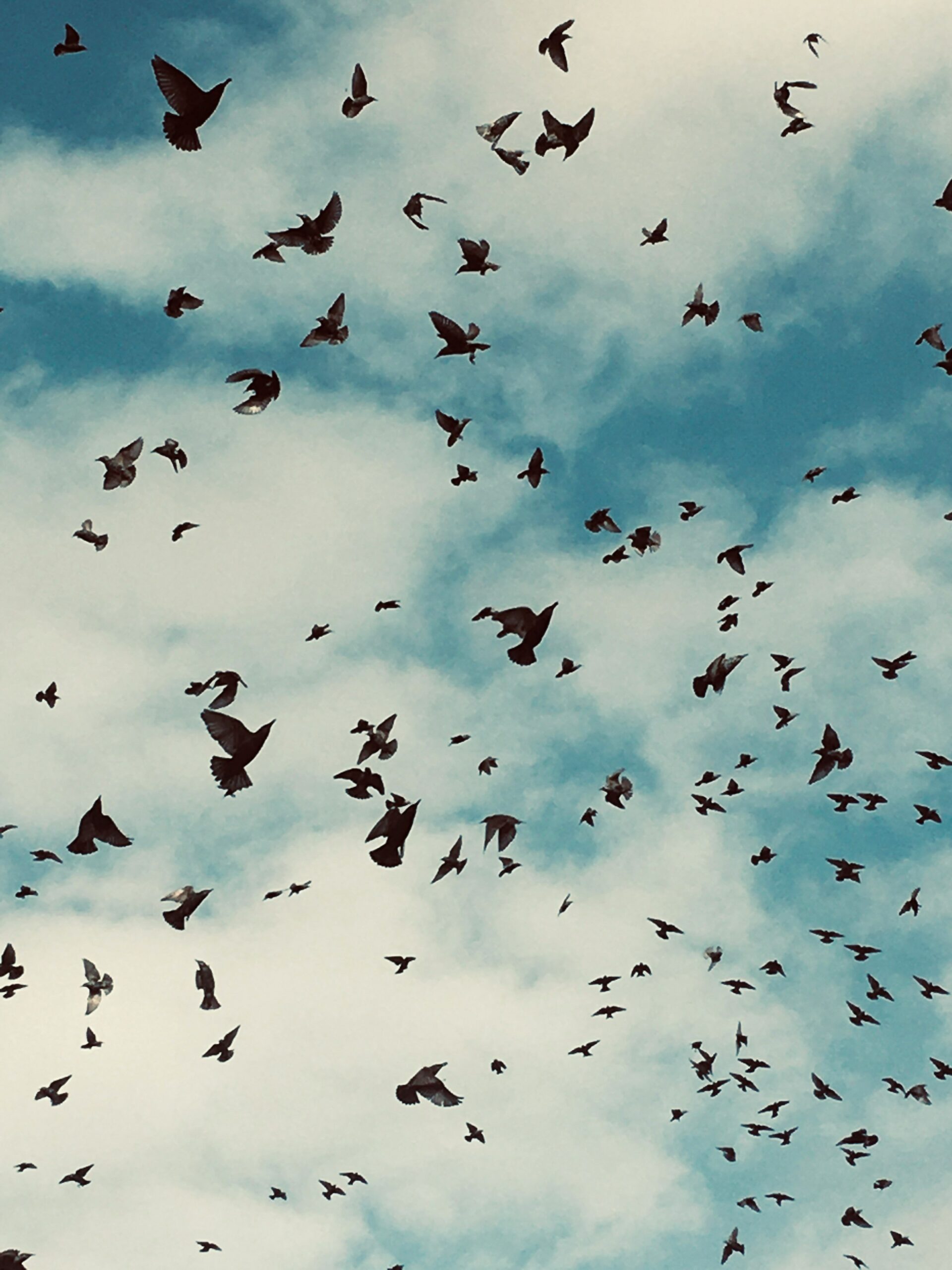 orkun-azap-P130pJDXgrk-unsplash